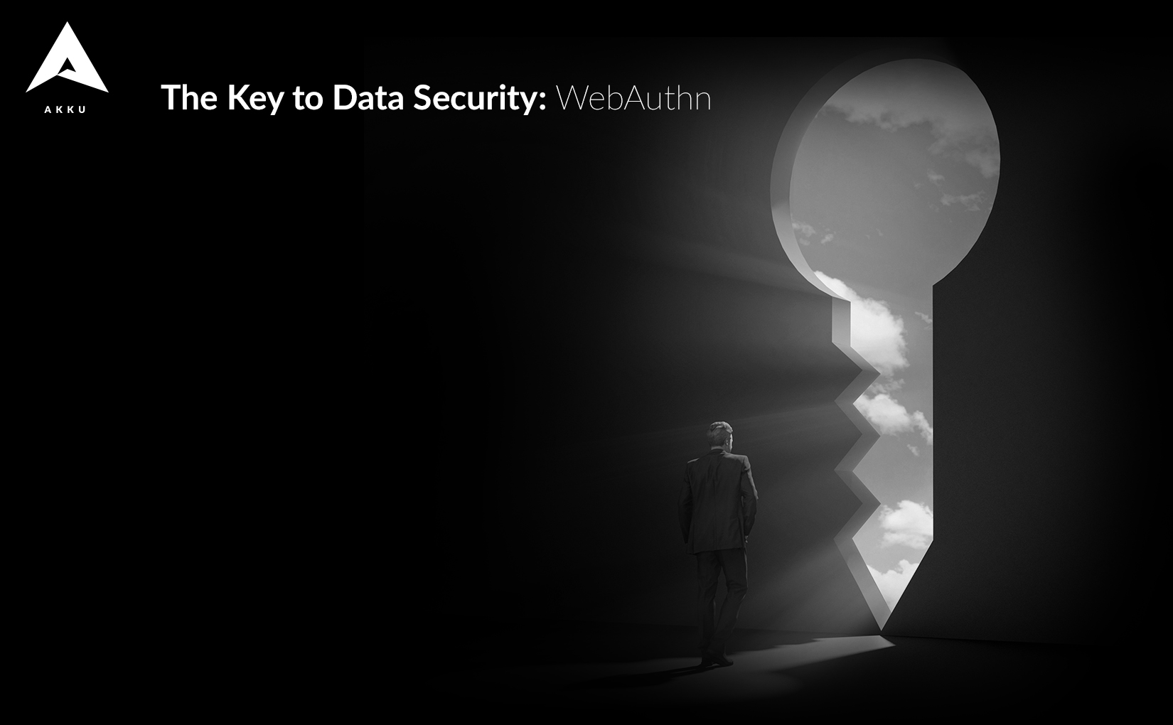 The Key to Data Security: WebAuthn